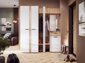 Модульная прихожая Санса (дуб сонома/белый) в Вьюнах - vyuny.mebel-nsk.ru | фото